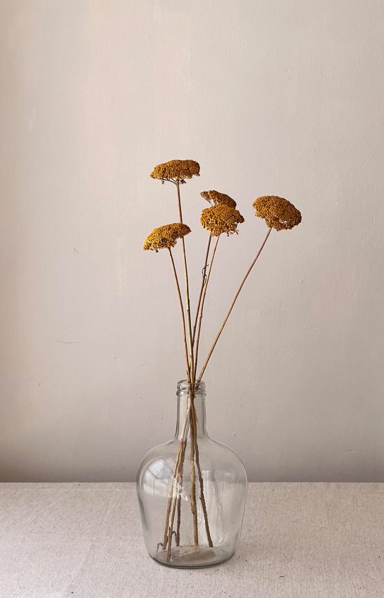 Blossomy-Achilea-seca-amarilla